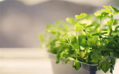 乾港集團(tuán) 乾港集團(tuán)